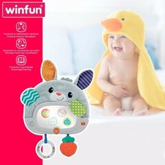 Kūdikio žaislas Winfun Triušis, 4 vnt. цена и информация | Развивающие игрушки | pigu.lt