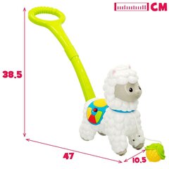Kūdikio žaislas Winfun Alpakos, 2 vnt. kaina ir informacija | Žaislai kūdikiams | pigu.lt