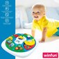 Veiklos staliukas Winfun kaina ir informacija | Žaislai kūdikiams | pigu.lt