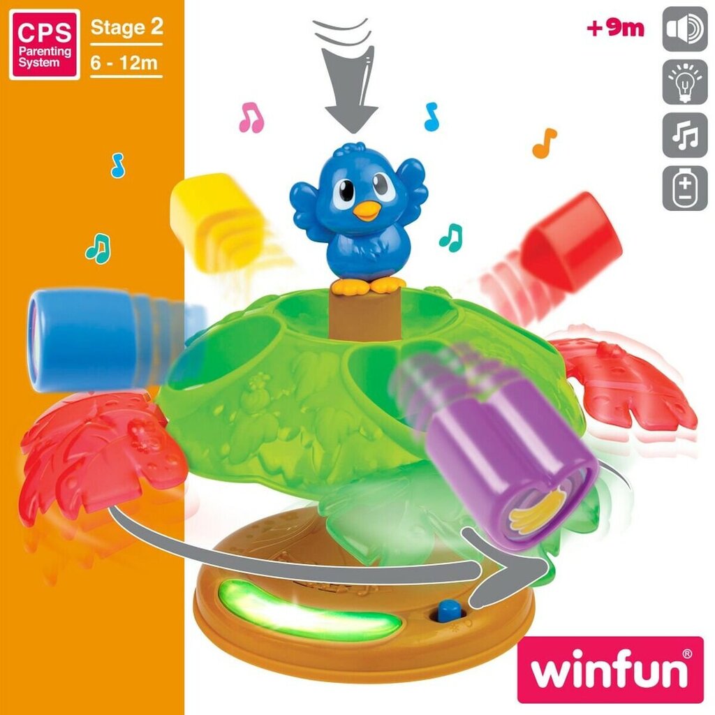 Kūdikio žaislas Winfun, 4 vnt. kaina ir informacija | Žaislai kūdikiams | pigu.lt