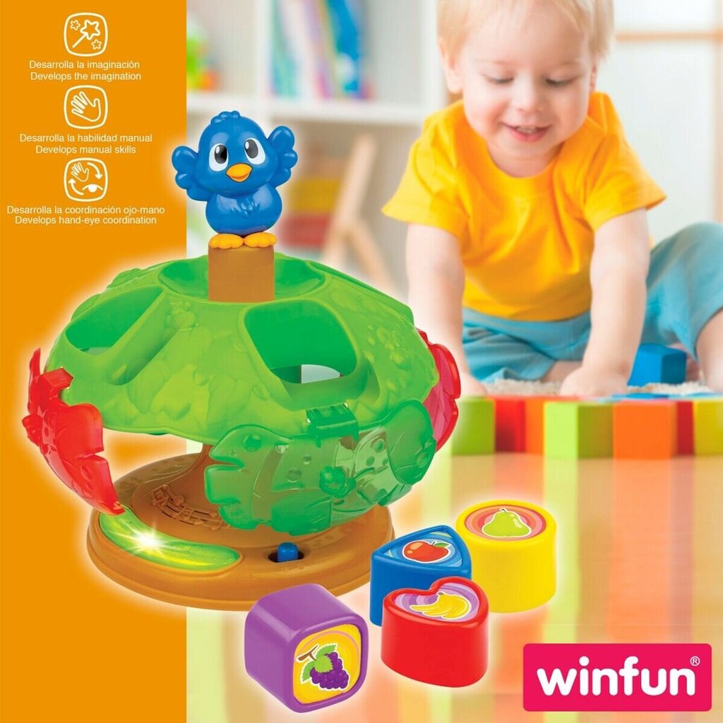 Kūdikio žaislas Winfun, 4 vnt. kaina ir informacija | Žaislai kūdikiams | pigu.lt
