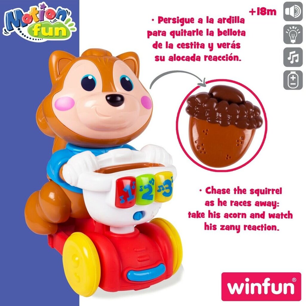 Muzikinis žaislas Voverė Winfun, 4vnt kaina ir informacija | Lavinamieji žaislai | pigu.lt