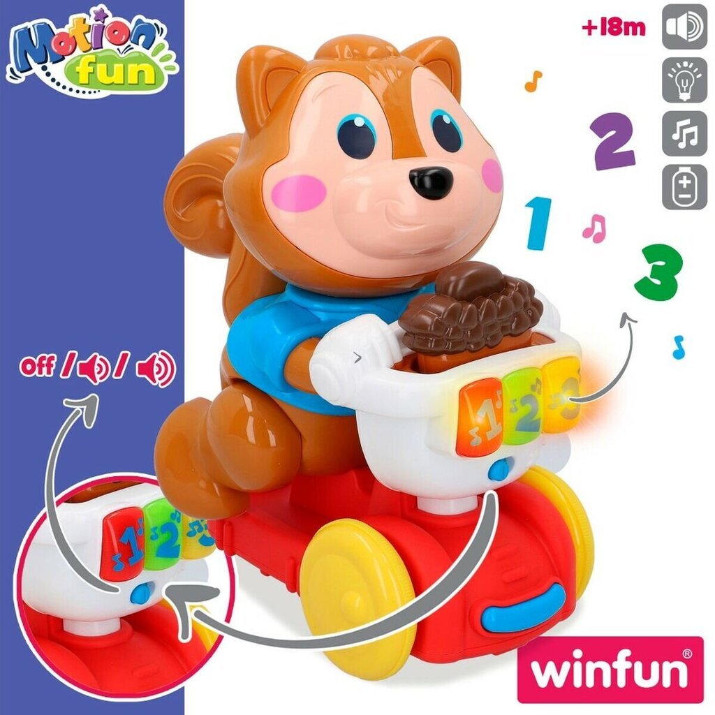 Muzikinis žaislas Voverė Winfun, 4vnt kaina ir informacija | Lavinamieji žaislai | pigu.lt