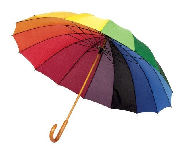 Skėtis moterims Parasol цена и информация | Moteriški skėčiai | pigu.lt