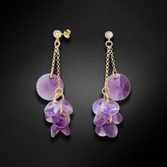 Серебряные серьги "Орхидея (Iris / Violet)" с кристаллами Swarovski™ DS02A587 цена и информация | Серьги | pigu.lt