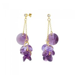 Sidabriniai auskarai moterims DiamondSky Orchid (Iris / Violet) DS02A587 kaina ir informacija | Auskarai | pigu.lt