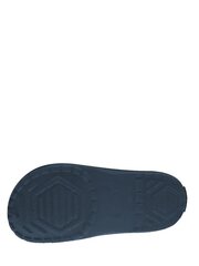 BEPPI Dino Blue 520645294 цена и информация | Детские тапочки, домашняя обувь | pigu.lt