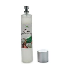 Purškiamas oro gaiviklis, 100 ml kaina ir informacija | Oro gaivikliai | pigu.lt