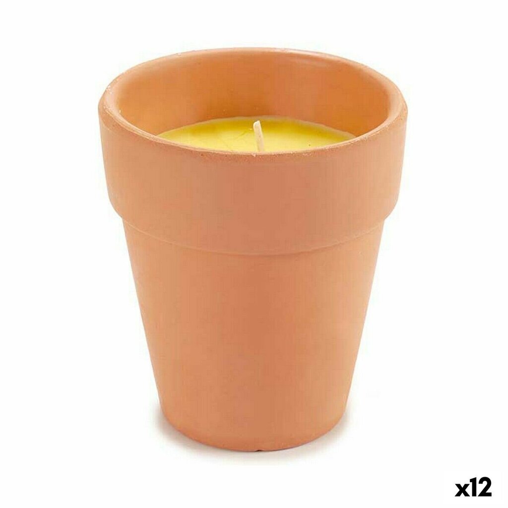 Žvakė Citronela 8 cm kaina ir informacija | Žvakės, Žvakidės | pigu.lt
