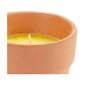 Žvakė Citronela 8 cm kaina ir informacija | Žvakės, Žvakidės | pigu.lt