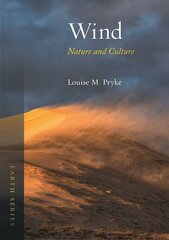 Wind: Nature and Culture цена и информация | Книги по экономике | pigu.lt