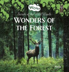 Wonders of the Forest. Secrets of the Wild Woods цена и информация | Книги для подростков  | pigu.lt