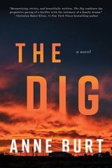 Dig: A Novel цена и информация | Fantastinės, mistinės knygos | pigu.lt