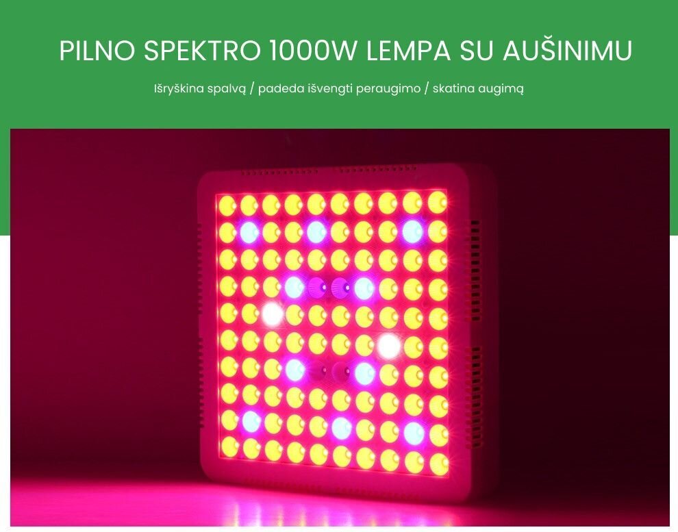 1000W pilno spektro panelė su aušinimu *EU* kaina ir informacija | Elektros lemputės | pigu.lt