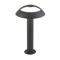 Lauko šviestuvas Searchlight Mushroom, 7264-450 kaina ir informacija | Lauko šviestuvai | pigu.lt