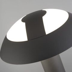 Lauko šviestuvas Searchlight Mushroom, 7264-730 kaina ir informacija | Lauko šviestuvai | pigu.lt