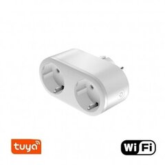 Умная розетка Feelspot FS-ST02WE 2in1 WiFi, Tuya цена и информация | Выключатели, розетки | pigu.lt