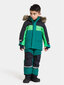 Didriksons vaikiška žiemos parka BJÄRVEN, žalia-tamsiai mėlyna kaina ir informacija | Žiemos drabužiai vaikams | pigu.lt