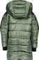 Didriksons vaikiška žieminė striukė TAJGAN, žalia kaina ir informacija | Žiemos drabužiai vaikams | pigu.lt