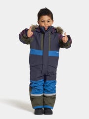 Детский зимний комбинезон Didriksons BJÖRNEN, синий и пестрый цена и информация | Зимняя одежда для детей | pigu.lt