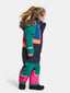 Didriksons vaikiškas žieminis kombinezonas BJÖRNEN, žaliai margas цена и информация | Žiemos drabužiai vaikams | pigu.lt