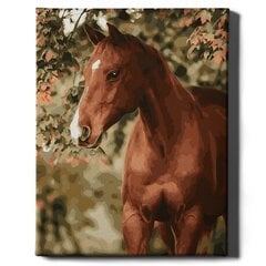 Картина по номерам "Конь в саду" Oh Art! 40x50 см цена и информация | Набор для рисования по номерам | pigu.lt