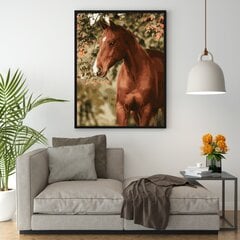 Картина по номерам "Конь в саду" Oh Art! 40x50 см цена и информация | Живопись по номерам | pigu.lt