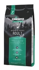 Chicopee holistic nature line su stručiu jautriems suagusiems šunims, 12 kg kaina ir informacija | Chicopee Gyvūnų prekės | pigu.lt