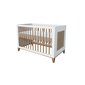 Kūdikio lovelė Nami Evolutive, 60 x 120 cm, balta kaina ir informacija | Kūdikių lovytės | pigu.lt