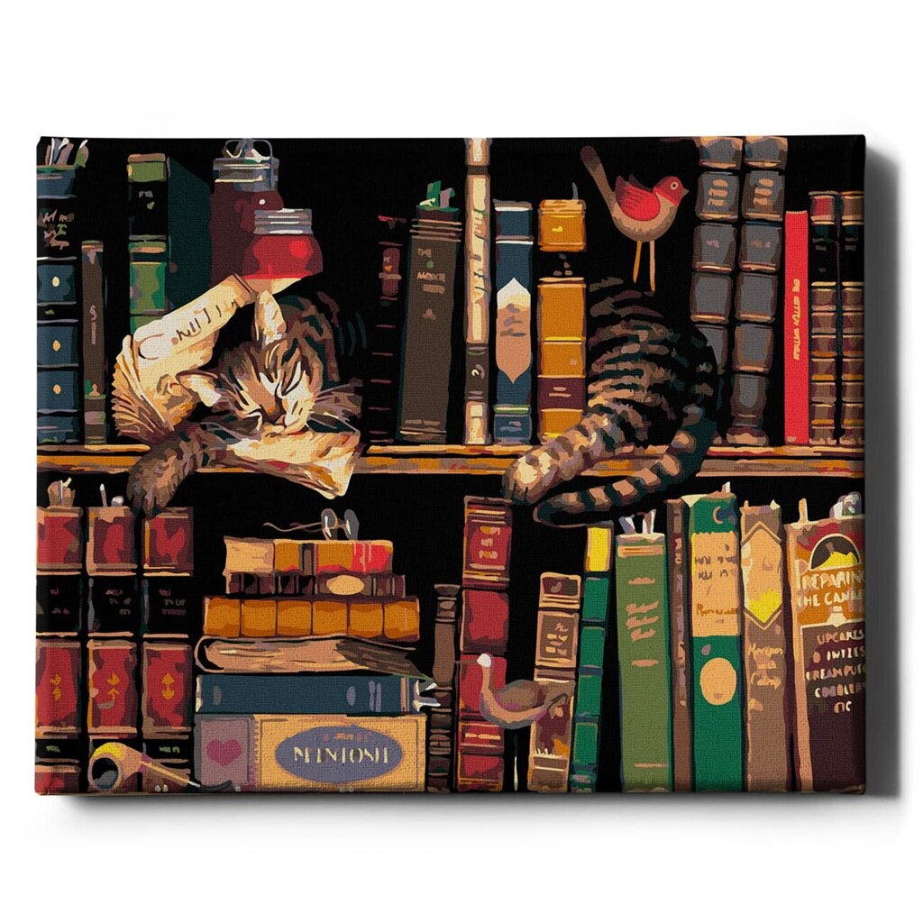 Tapyba pagal skaičius Katė knygų lentynoje Oh Art!, 40x50 cm kaina ir informacija | Tapyba pagal skaičius | pigu.lt