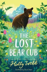 Lost Bear Cub цена и информация | Книги для подростков и молодежи | pigu.lt