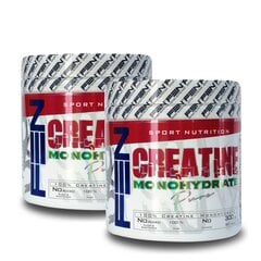 Kreatinas Fen Creatine Monohydrate 300 g kaina ir informacija | Kreatinas | pigu.lt