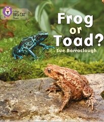 Frog or Toad?: Band 03/Yellow, Frog or Toad?: Band 03/Yellow kaina ir informacija | Knygos paaugliams ir jaunimui | pigu.lt