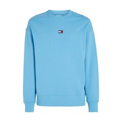 Marškinėliai vyrams Tommy Hilfiger Jens 78529, mėlyni цена и информация | Футболка мужская | pigu.lt