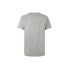 Marškinėliai vyrams Pepe Jeans 78722, pilki цена и информация | Мужские футболки | pigu.lt