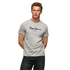 Marškinėliai vyrams Pepe Jeans 78740, pilki цена и информация | Мужские футболки | pigu.lt