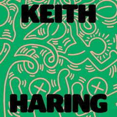 Keith Haring: Art Is for Everybody kaina ir informacija | Knygos apie meną | pigu.lt