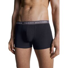 TOMMY HILFIGER НИЖНЕЕ БЕЛЬЕ UM0UM02324 цена и информация | Трусы | pigu.lt