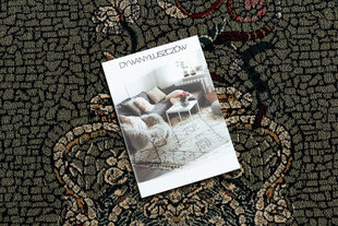 Rugsx kilimas Polonia 170x235 cm kaina ir informacija | Kilimai | pigu.lt