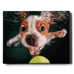Картина по номерам "Щенок и мяч" Oh Art! 40x50 см цена и информация | Живопись по номерам | pigu.lt