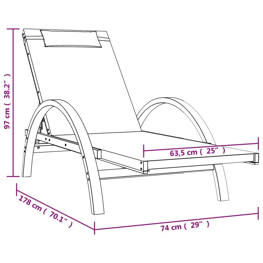 Saulės gultas su pagalve vidaXL, pilkas kaina ir informacija | Gultai | pigu.lt