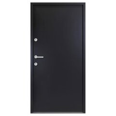 vidaXL Priekinės durys antracito spalvos 90x200cm 3190561 цена и информация | Межкомнатные двери | pigu.lt
