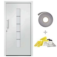 vidaXL Priekinės durys baltos spalvos 110x210cm 3056811 kaina ir informacija | Vidaus durys | pigu.lt