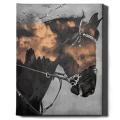 Картина по номерам "Мрачная лошадь" Oh Art! 40x50 см цена и информация | Живопись по номерам | pigu.lt