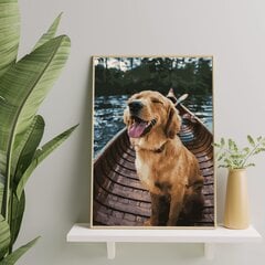 Картина по номерам "Собака в лодке" Oh Art! 40x50 см цена и информация | Живопись по номерам | pigu.lt