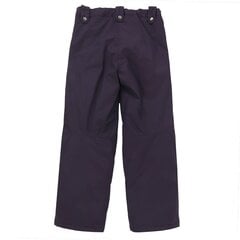 Детские зимние брюки Lenne Becky 80 г 23355*619, сливовые цена и информация | Зимняя одежда для детей | pigu.lt