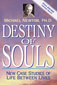 Destiny of Souls knyga Llewellyn kaina ir informacija | Ezoterika | pigu.lt