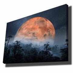 Репродукция Луна цена и информация | Репродукции, картины | pigu.lt