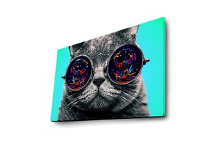 Reprodukcija Katinas su akiniais 4570DACT-61 kaina ir informacija | Reprodukcijos, paveikslai | pigu.lt