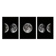 Trijų dalių reprodukcija Mėnulis 3SC111 kaina ir informacija | Reprodukcijos, paveikslai | pigu.lt